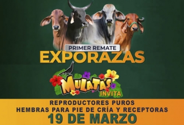 Este primer remate de diversas razas se hizo con el objetivo de fomentar los sistemas de cría de ganado vacuno. Foto: instagram.com/tuagrocolombia remate exporazas cowbay marzo 2022