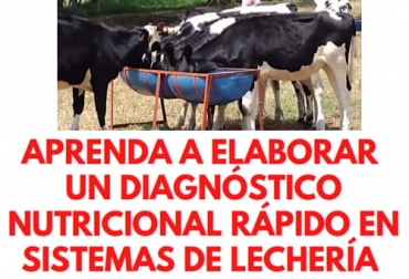 Aprenda sobre diagnóstico nutricional y sus efectos sobre la producción y reproducción en el hato de la mano del profesor Abelardo Conde. Foto: Escuela del Agro Seminario diagnostico nutricional lecheria