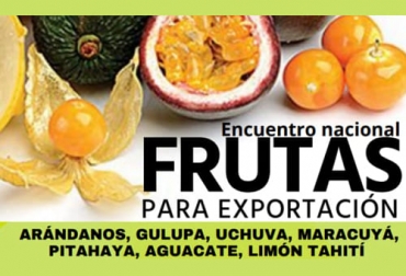 El Primer Encuentro Nacional de Frutas para Exportación se realizará en Paipa (Boyacá) este jueves 5 y viernes 6 de mayo. Foto: Cortesía encuentro frutas para exportación Colombia