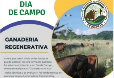 Los asistentes conocerán sobre 5 temas: ¿Qué es la Biocenosis?, Silvopastoreo:, Selección por biotipo, Riesgos y ventajas y Sistemas Sintropicos. Foto: Cortesia ganadería regenerativa