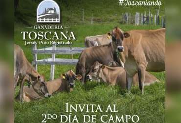 La Ganadería Toscana invita a su segundo Día de campo “Mejore eficiencia y productividad en su hato” el jueves 25 de agosto en La Ceja (Antioquia). Foto: Cortesía segundo dia de campo de ganaderia toscana