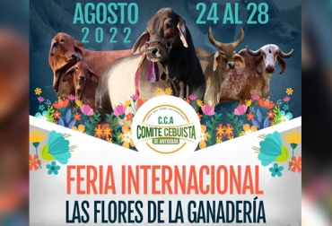 Del 24 al 28 de agosto se llevará a cabo la “Feria Internacional Las Flores de la Ganadería” en la sede Llano Grande de Asdesilla en Rionegro (Antioquia). Foto: instagram.com/comitecebuistadeantioquia feria intternacional flores de la ganaderia 2022