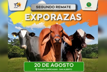 Al igual que la primera versión que tuvo lugar en marzo de este año, la subasta se hará virtual y presencial en la Subasta Mercagán en San Alberto (Cesar). Foto: Cortesía segundo remate exporazas
