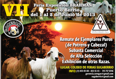 El Comité Regional de Ganaderos de Puerto Berrio, Coregan, y la Subasta de Puerto Berrio, Sugaberrio S.A, invita a todos los ganaderos al evento. Foto: Coregan. Feria Brahman