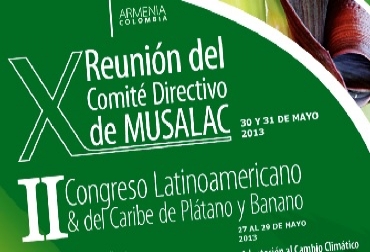 Son esperados 300 productores de plátano y banano de la región. Foto: Corpoica. II Congreso Latinoamericano y del Caribe de plátano y banano