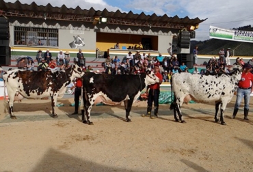 Las ferias y fiestas de La Calera se desarrollan del 27 al 30 de noviembre. Foto: http://www.asonormando.com. normando
