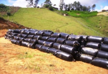 El objetivo claro de esta charla, es incentivar la siembra de maíz para silo. Foto: CONtexto Ganadero. Silo de maíz.