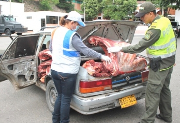 En 2015 se han aprehendido 142 animales de contrabando. Foto: Policía Nacional. Contrabando ganadero desde Venezuela