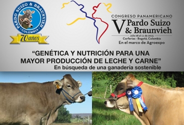 El evento de ganadería tendrá lugar en el marco de Agroexpo. Foto: CONtexto Ganadero. pardo suizo ganado