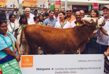 El programa ha beneficiado a más de 2.500 familias. Foto: Fundagán. Entrega 18 vacas en Cesar