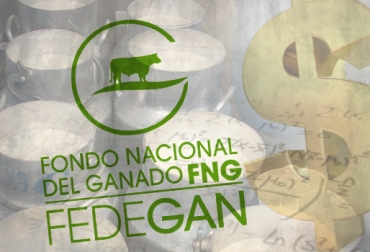 Hace cerca de 2 meses han venido buscando perfeccionar la fórmula actual. Foto: CONtexto ganadero. propuestas de Fedegán sobre la fórmula del precio de la leche