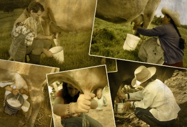 Un mejor precio ayudaría fortalecer a un sector que como el lechero debe soportar fuertes temporadas de importaciones. Foto: CONtexto ganadero. precio de la leche en Colombia