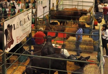 El evento se llevará a cabo del 9 al 20 de julio en la ciudad de Bogotá. Foto: CONtexto ganadero. Agroexpo 2015