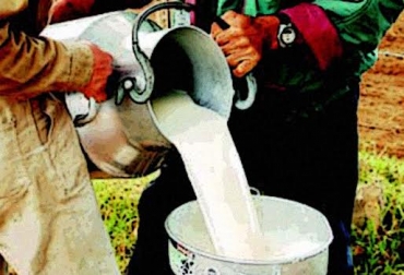 Según el DANE, en 22 de los 32 de los departamentos del país se produce leche. Foto: CONtexto ganadero. precio de la leche en Colombia