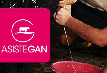 112 ganaderos se benefician con Asistegán Lácteos en Guatavita y Garzón. Foto: CONtexto ganadero. Asistegán Lácteo Colombia