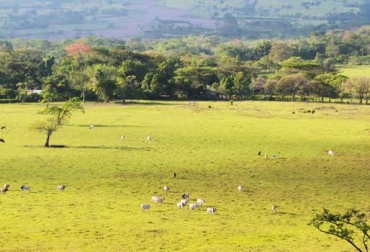 En San Pedro de Guajaray hay 40 casas y en ellas viven cerca de 200 personas que dicen verse afectadas con el proyecto. Foto: Dólar Blue Producciones. San Pedro de Guajaray