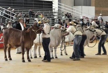 Recuerde llevar rascaderos, bebederos y comederos. Foto: CONtexto ganadero. Agroexpo 2015