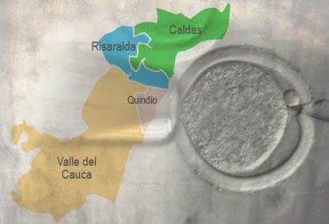 Desde ya se están seleccionando los predios que serán incluidos en el programa. Foto: CONtexto ganadero. Valle del Cauca y Eje Cafetero mejoramiento genético bovino