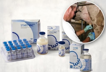 Vecol comenzó la venta del inmunológico en mayo de 2015. Foto: CONtexto ganadero. vacuna contra la mastitis