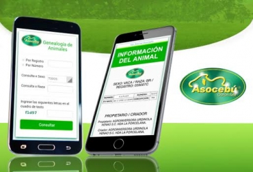 Si usted tiene algún inconveniente escriba a sistemas@asocebu.com. Foto: Asocebú. App Asocebú