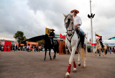 Los caballos colombianos llevan más de 500 años adaptados a la geografía y los climas. Foto: Cortesía. caballo de paso fino colombia