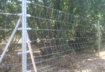 El triple galvanizado tiene una mayor durabilidad en el uso de las cercas. Foto: Cancione.net. Cerca eléctrica para ganadería