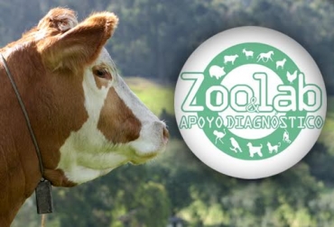 El descuento para los productores asociados es del 15%. Foto: CONtexto ganadero. Convenio Asosimmental Zoolab