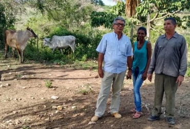 Hasta el momento, el programa ha entregado 2.500 bovinos en todo el territorio nacional. Foto: Óscar Harry Flórez. Entrega Vaca por la Paz 2015