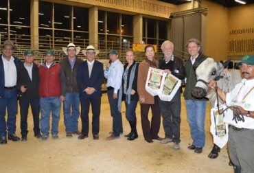 En estas justas se tuvieron en cuenta las caracterizaciones raciales de los animales para proclamarlos como campeones. Foto: CONtexto ganadero. Juzgamiento raza BON Agroexpo 2015
