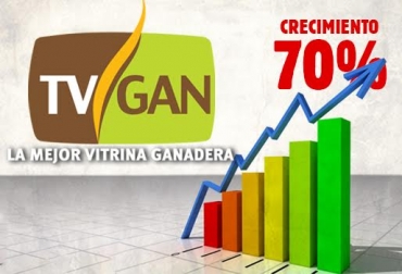 Apelando al trabajo serio, organizado y bien hecho, TVGAN ha logrado que haya un crecimiento considerable en materia de ventas y ganancias. Foto: CONtexto Ganadero. TVGAN remates