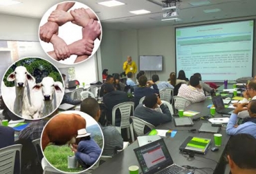 Un taller de formación en asociatividad se desarrolló en las instalaciones de Fedegán en Bogotá. Foto: CONtexto ganadero. asociatividad en la ganadería