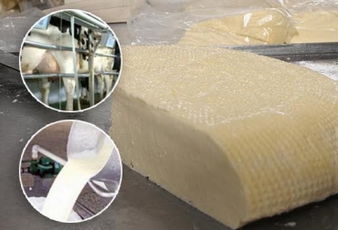 El 96 % de los productores de leche de Nariño se concentra en pequeños predios. Foto: CONtexto ganadero. Nariño cuenca lechera de Colombia