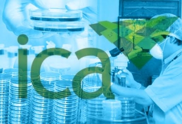 La Dirección Técnica de Evaluación de Riesgo del ICA, adelantó el respectivo proceso técnico-científico. Foto: CONtexto ganadero. Ica material genético aviar francia