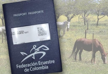 ste documento se debe revalidar anualmente con la información sanitaria vigente y debidamente certificada. Foto: CONtexto ganadero. pasaporte equino colombia