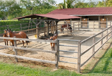 “Todo criador debe construir, mantener y garantizar sus instalaciones básicas, por lo menos como un factor de seguridad”, aseguró Germán López. Foto: http://equinosconpasion.com. Instalaciones equinos