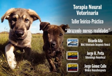 El evento se llevará a cabo en Cali (noviembre 12 al 15) y en Medellín (noviembre 19 al 22). Foto: CONtexto Ganadero. Terapia neural veterinaria