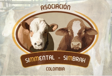 Si usted tiene interés en comercializar o comprar ganado en pie o material genético, escriba al correo: info@asosimmental.org. Foto: CONtexto ganadero. nuevo servicio Asosimmental