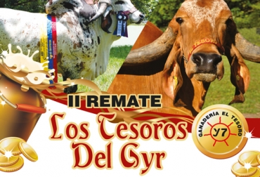 Para este año, los criadores esperan la visita de más de 600 personas y superar las expectativas. Foto: Asocebú. II remate de Los Tesoros del Gyr