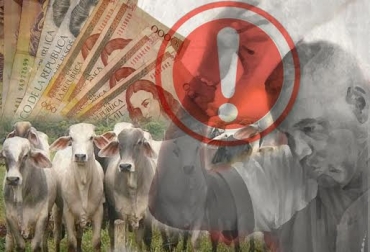 Esta clase de errores causan aumento en las inversiones, afectando a los nacientes productores. Foto: CONtexto Ganadero. errores frecuentes en la ganadería