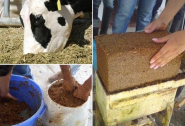 El ganadero necesita tener forrajes en su predio para elaborar los suplementos. Foto: CONtexto ganadero. silo ganadería
