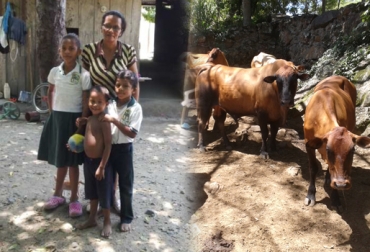 La Fundación espera llegar durante 2015 a 600 familias rurales. Foto: CONtexto ganadero – Fundagán. Entrega Vaca por la Paz 2015