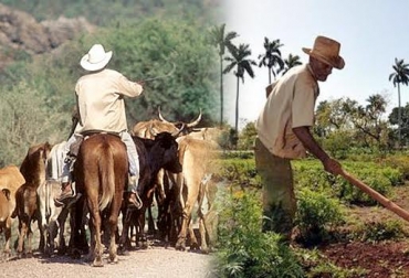 Los ganaderos deben adelantar una serie de cambios a la hora de concebir la producción pecuaria para que esta sea rentable y ecológicamente amigable. Foto: CONtexto Ganadero. ganadero, agricultor, Medio Ambiente, conservación, Agua, recursos, suelo