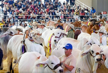 Usted se puede programar desde ya para asistir a los mejores eventos ganaderos del año. Foto: http://exposicionnacionalganadera.com. ferias, encuentros, eventos, exposición, bovina, equina, taurina, ganado, ganaderos, Bogotá, Manizales, villavicencio, Colombia