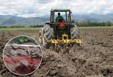 Esta alternativa le salva la vida a los suelos que han perdida vitalidad y vocación para la siembra de pastos que ingieren los bovinos. Foto: bibliotecadigital.cenicana.org /todoagro.com.ar subsolar suelos ganaderos