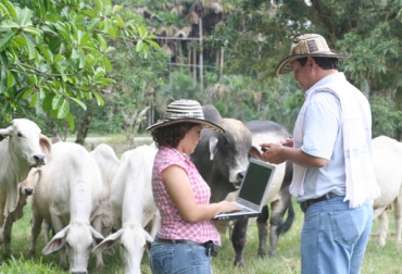 Las visitas le indicarán a los ganaderos cuáles son los mejoramientos que deben hacer en el hato. Foto: CONtexto ganadero. Visitas técnicas Asocebú