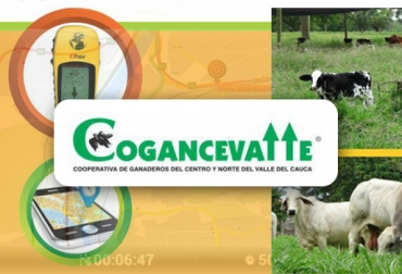 Están abiertas las inscripciones para los cursos de manejo del GPS y el software ganadero. Foto: Cogancevalle Valle del Cauca, Tuluá, Cooperativa de Ganaderos del Centro y Norte del Valle, Cogancevalle, Servicio Nacional de Aprendizaje, Sena, Tecnig@n de Tuluá, curso para calibración y operación del GPS, curso de software ganadero, uso del GPS en la ganadería, mejoramiento de la producción ganadera, cómo usar el software ganadero, tecnologías al servicio de la ganadería, CONtexto ganadero, Ganaderos Colombia