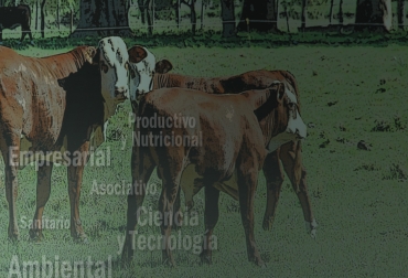 El objetivo de la asistencia técnica integral es que el ganadero mejore su calidad de vida, la de su familia y la de su entorno. Foto: CONtexto ganadero Asistencia Técnica a Ganaderos, importancia de la asistencia técnica a los ganaderos, asistencia técnica fedegán, asistencia técnica en colombia, Fondo Nacional del Ganado, Asistegán, políticas de Estado para asistencia técnica, CONtexto ganadero, ganaderos colombia