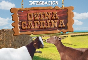 Si usted está interesado en asistir a este evento, puede comunicarse al número celular 350 214 21 21. Foto: Cortesía. Integración ovina