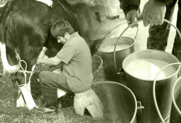 Los productores esperan que la industria respete el incremento decretado por el Gobierno. Foto: cuadrante.mx. precio de la leche fórmula Colombia