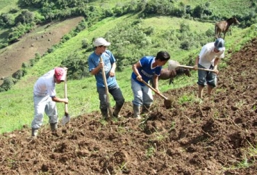 Son cada vez menos los jóvenes que ven en el campo una actividad económica atractiva. Foto: www.moreloshabla.com. jóvenes rurales
